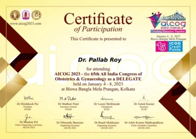 2023 Certificate 2