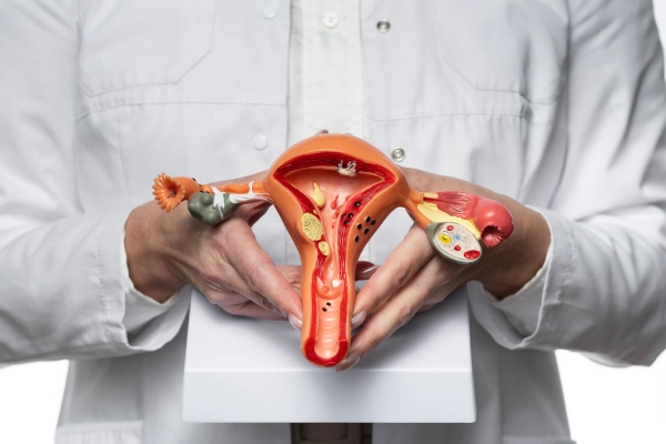 Fibroid Treatment & Myomectomy