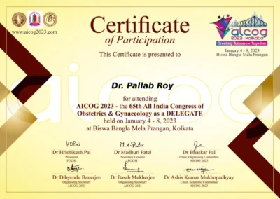 2023 Certificate 5