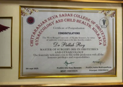 2025 Certificate 1