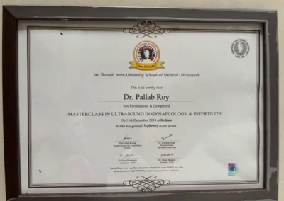 2024 Certificate 1